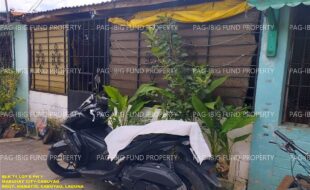 fil1520241021270