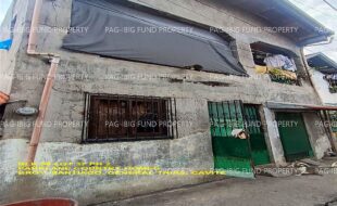 fil1520241022199