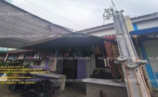 fil1520241022304