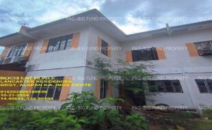 fil1520241102012