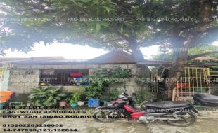 fil1520241105151