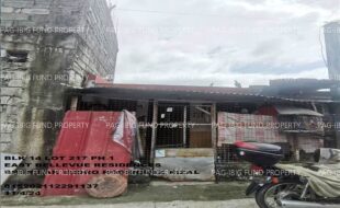 fil1520241105421