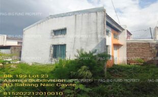 fil1520241106124