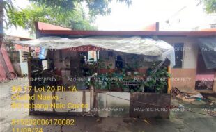fil1520241106142