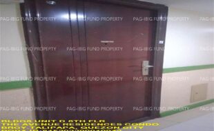 fil1520241106583