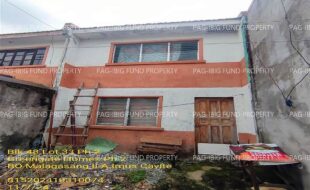 fil1520241108282