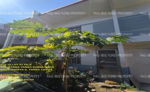 fil1520241112102