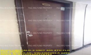 fil1520241113159
