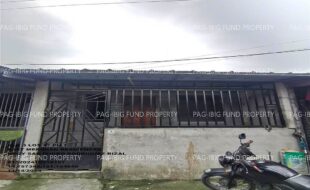 fil1520241115405