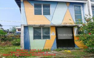 fil1520241115552