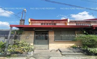 fil1520241116159