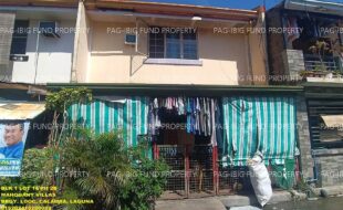 fil1520241118294