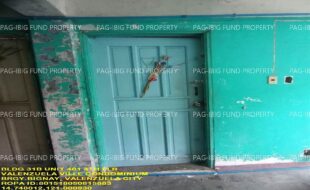 fil1520241119356