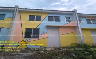 fil1520241119415