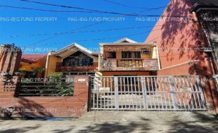 fil1520241121214