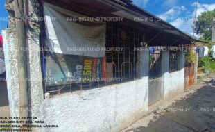 fil1520241122436