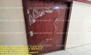 fil1520241125123
