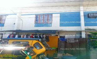 fil1520241127248