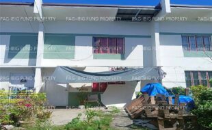 fil1520241127282