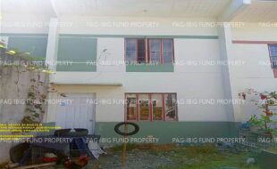 fil1520241127286