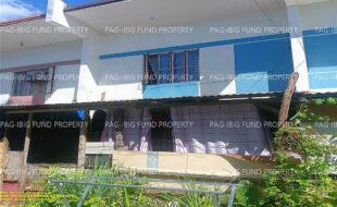 fil1520241127294
