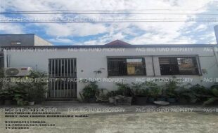 fil1520241127583