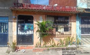 fil1520241127801