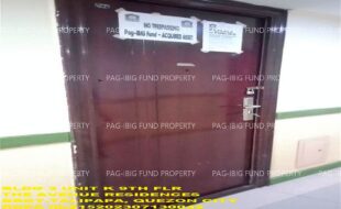 fil1520241128255