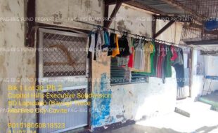 fil1520241128470
