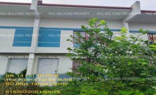 fil1520241129690