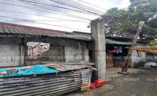 fil1520241202203