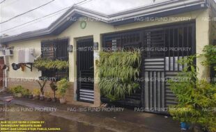 fil1520241202239