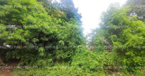 Pag-IBIG ROPA # 815202410310125 - Lot 2 Blk. 4 ARIZONA ST. CITYVIEW HOMES SAMPALOC III, CITY OF DASMARINAS, CAVITE, 4114 - 2nd Public Auction on Jun. 22, 2026 - Jun. 26, 2026