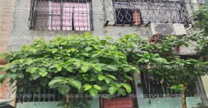 Pag-IBIG ROPA # 815202411150004 - Lot 36 Blk. 8 GREENTOWN VILLAS I MAMBOG III, CITY OF BACOOR, CAVITE, 4102 - 2nd Public Auction on Jun. 22, 2026 - Jun. 26, 2026 (Occupied)