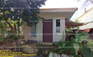 fil1520241203589
