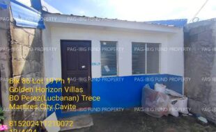 fil1520241205100