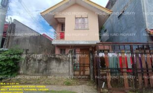 fil1520241206415