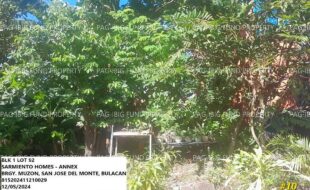 fil1520241206454