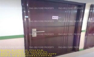fil1520241207317
