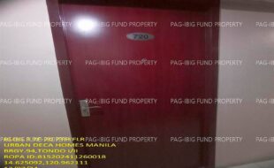 fil1520241209196