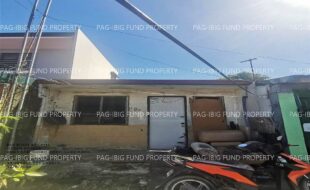 fil1520241209285