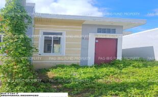 fil1520241209376
