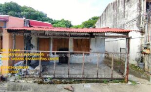 fil1520241210305