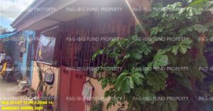 Pag-IBIG ROPA # 815202411280104 - Lot 10 Blk. 35 Phase 4 MABUHAY HOMES 2000-PALIPARAN PALIPARAN II, CITY OF DASMARINAS, CAVITE, 4114 - 2nd Public Auction on Jun. 22, 2026 - Jun. 26, 2026 (Occupied)