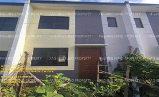 fil1520241210549