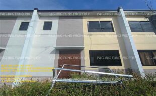 fil1520241210561