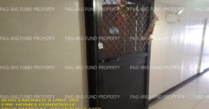 Pag-IBIG ROPA # 815202411290071 - Unit 202 2ND Flr. EMERALD-3 RAMON DELFIN ST. FINI HOMES MARULAS, CITY OF VALENZUELA, NCR, THIRD DISTRICT, 1440 - Negotiated Sale on Jun. 22, 2026 - Jun. 26, 2026 (Occupied)