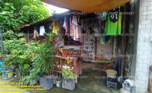 fil1520241211310