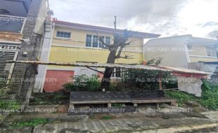 fil1520241212520