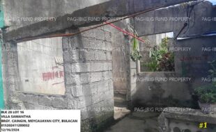 fil1520241217185
